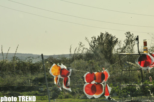 Azərbaycanın tanınmış mügənnisinin yol əhvalatı (FOTO)